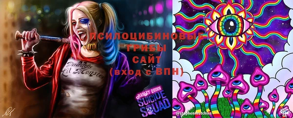 ГАЛЛЮЦИНОГЕННЫЕ ГРИБЫ Абаза