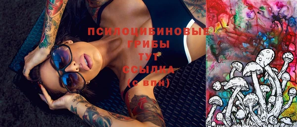ГАЛЛЮЦИНОГЕННЫЕ ГРИБЫ Абаза